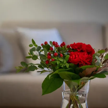 Apartment Tuomas'luxurious Suites Saana